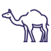 animal-camel-desert-svgrepo-com