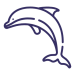 aquarium-dolphin-fish-svgrepo-com